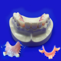 flipper flippers teeth tooth dentures