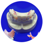 Buy Dental Flipper Online