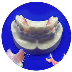 Buy Dental Flipper Online